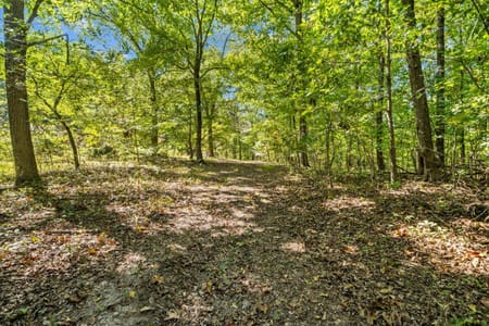 Dalton, GA 30720 Whitfield County