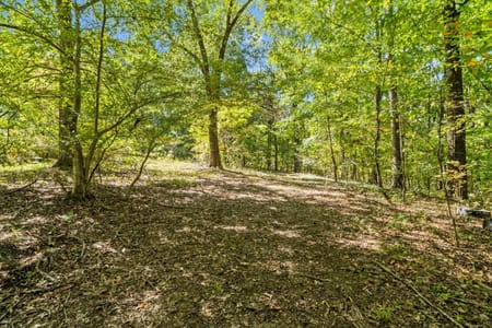 Dalton, GA 30720 Whitfield County