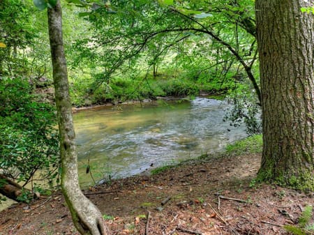 Blue Ridge, GA 30513 Fannin County