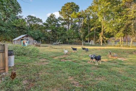 Calhoun, GA 30701 Gordon County