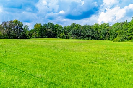 Bowdon, GA 30108 Carroll County