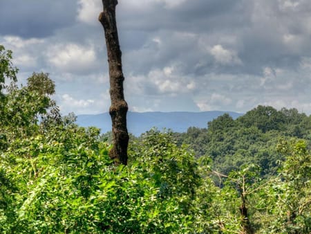 Mineral Bluff, GA 30559 Fannin County