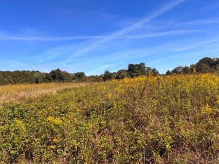 Lyerly, GA 30730 Chattooga County