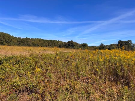 Lyerly, GA 30730 Chattooga County