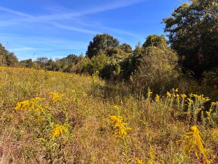 Lyerly, GA 30730 Chattooga County