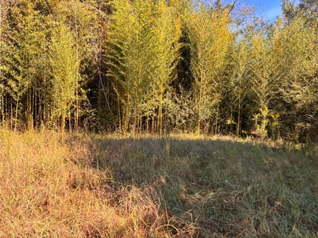 Lyerly, GA 30730 Chattooga County