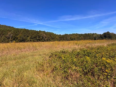 Lyerly, GA 30730 Chattooga County