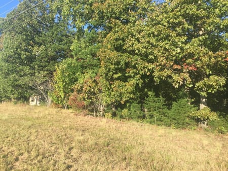 Cleveland, GA 30528 White County
