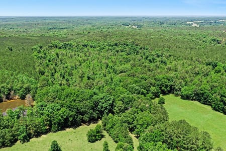 Washington, GA 30673 Wilkes County