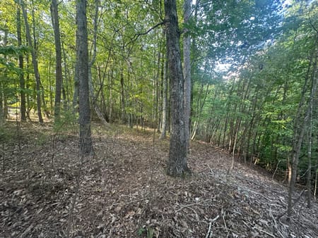 Clarkesville, GA 30523 Habersham County