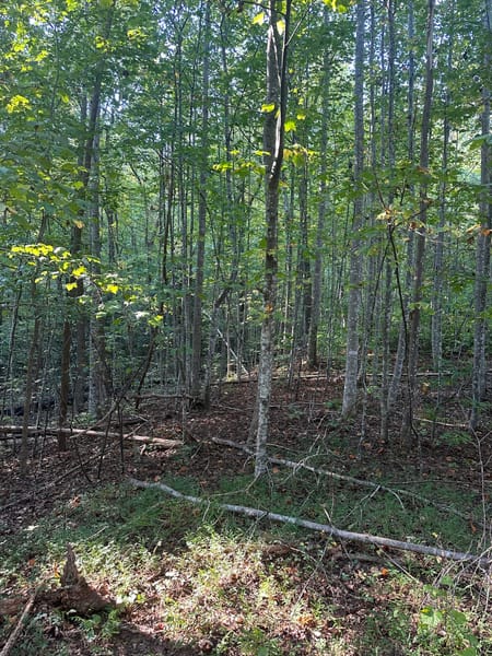 Clarkesville, GA 30523 Habersham County