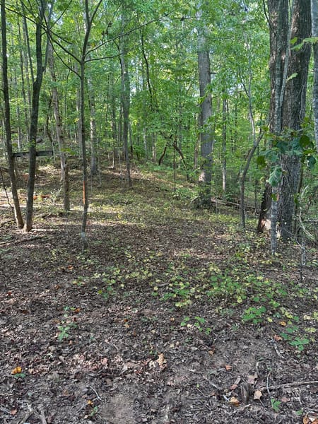 Clarkesville, GA 30523 Habersham County