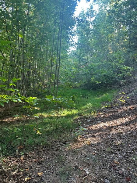 Clarkesville, GA 30523 Habersham County