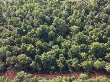 Cumming, GA 30028 Forsyth County