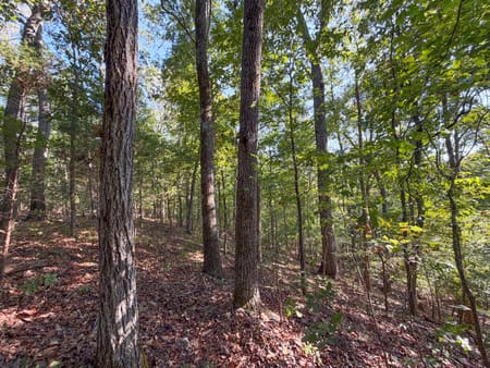 Kingston, GA 30145 Bartow County