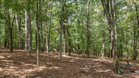 Watkinsville, GA 30677 Oconee County