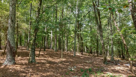 Watkinsville, GA 30677 Oconee County