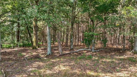 Watkinsville, GA 30677 Oconee County