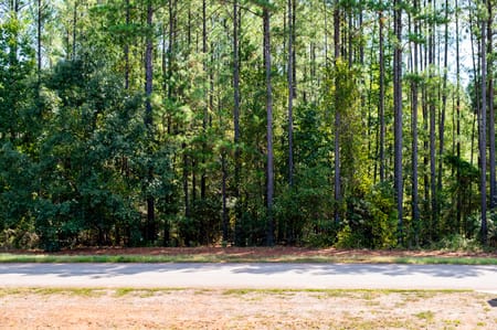Mansfield, GA 30055 Newton County