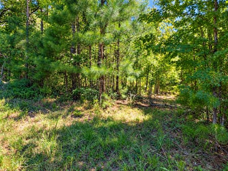 Eatonton, GA 31024 Putnam County
