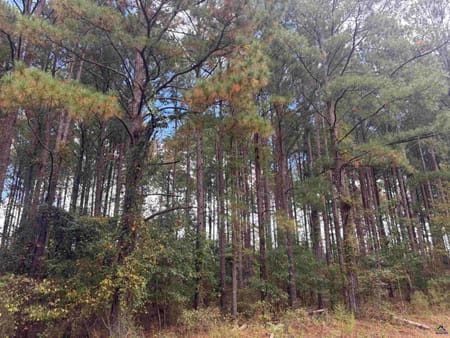 Cochran, GA 31014 Bleckley County
