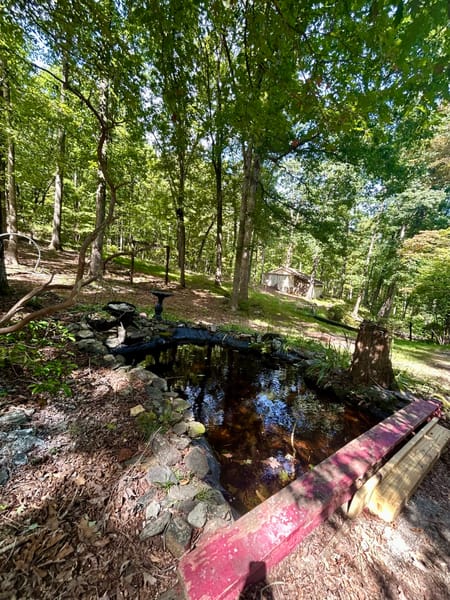 Cleveland, GA 30528 White County