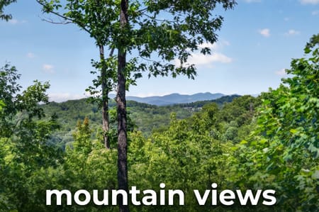 Blue Ridge, GA 30513 Fannin County
