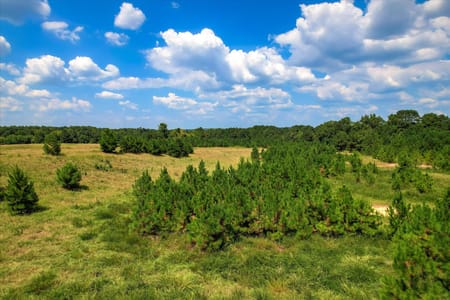 Lincolnton, GA 30817 Lincoln County