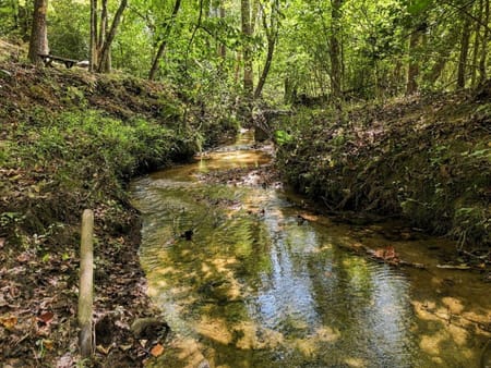Blue Ridge, GA 30513 Fannin County