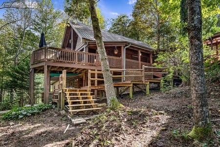 Mineral Bluff, GA 30559 Fannin County