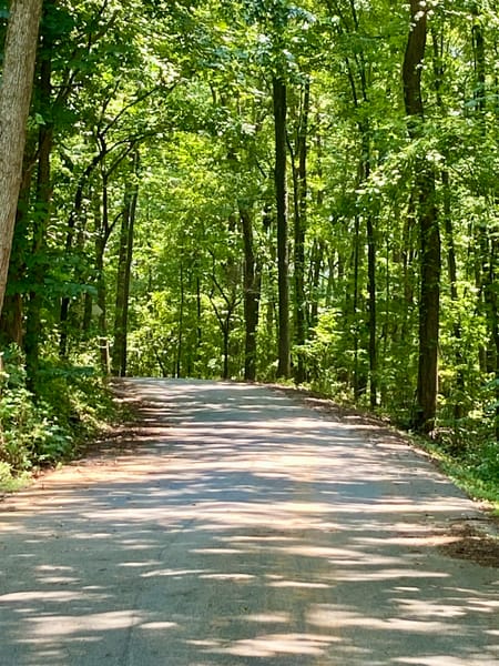 Dallas, GA 30157 Paulding County