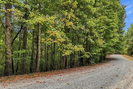 Ellijay, GA 30540 Gilmer County