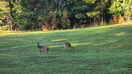 Blairsville, GA 30512 Union County