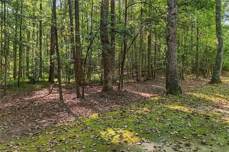 Canton, GA 30115 Cherokee County