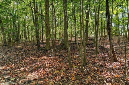 Canton, GA 30115 Cherokee County
