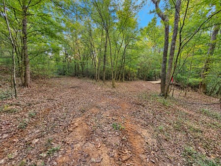 Waverly Hall, GA 31831 Harris County