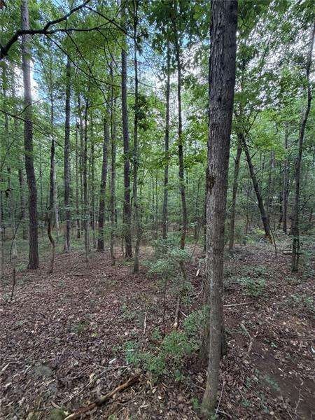 Cataula, GA 31804 Harris County