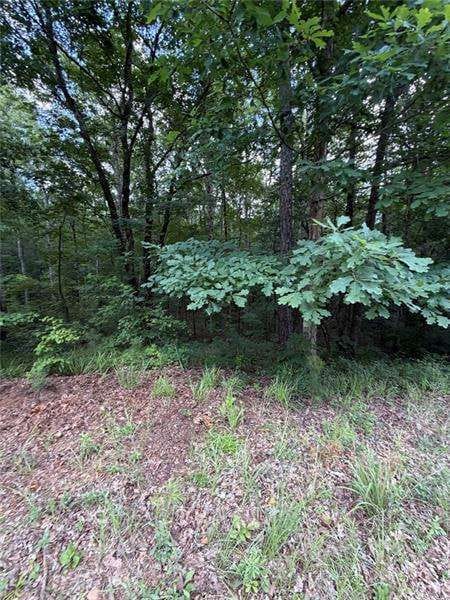 Cataula, GA 31804 Harris County