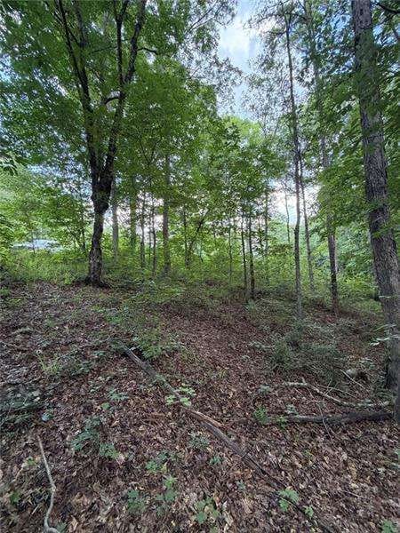 Cataula, GA 31804 Harris County