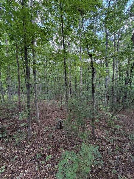 Cataula, GA 31804 Harris County