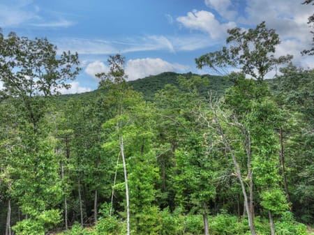 Ellijay, GA 30536 Gilmer County