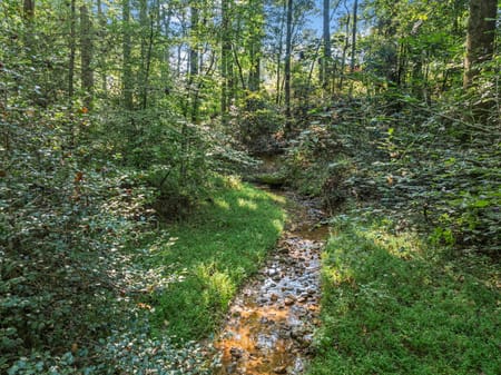 Demorest, GA 30535 Habersham County