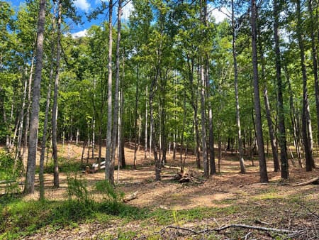 Lagrange, GA 30241 Troup County