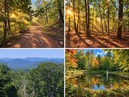 Ellijay, GA 30536 Gilmer County
