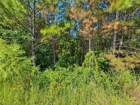 Ellijay, GA 30536 Gilmer County