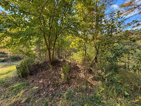 Ellijay, GA 30536 Gilmer County