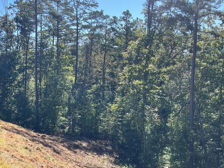 Ellijay, GA 30540 Gilmer County
