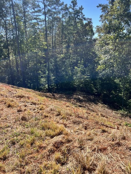 Ellijay, GA 30540 Gilmer County