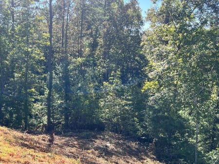 Ellijay, GA 30540 Gilmer County