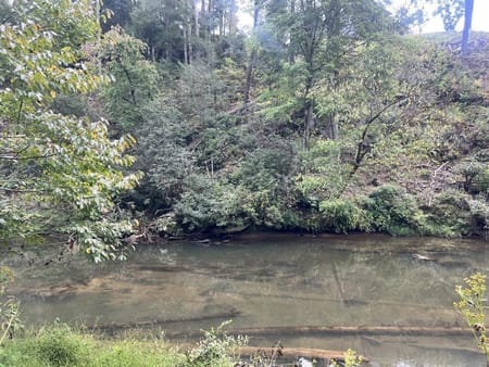 Ellijay, GA 30540 Gilmer County